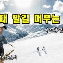 그대발길머무는곳에 이미지