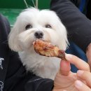 (주)다원에프이 이미지