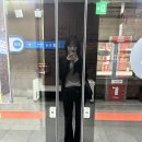 묘묘씨 | 뒤죽박죽 동물원