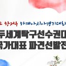 아시안게임/세계선수권 대표 선발전 경기 현황 이미지