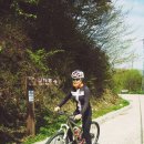 악양면사무소 이미지