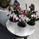 녹산주유소 | 부산 명지 카페 추천 대형 리버뷰 핫플 엠오엘 솔직 후기