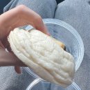 통통이네 이미지