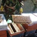 내검농장 이미지