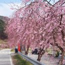 수양경로당 이미지