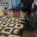 하남애견훈련소 이미지