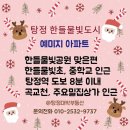 한들물빛도시 예미지아파트 앞 이미지
