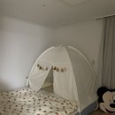 전농세탁 이미지