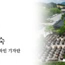 구미(거북장수)마을 이미지