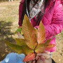 작은숲  어린이집 이미지