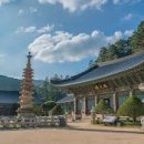 성보유통 | 월정사, 오대산 숲과 문수신앙이 만나는 천년 가람
