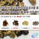 염 의 서 원 이미지