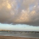 배들약국 이미지