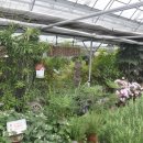 양평그린클로버 이미지