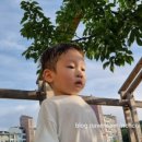 남장골 어린이공원 이미지