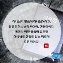 한국개신교 교인수 감소와 신천지 성도 급증 요인 이미지