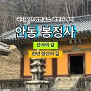 산사가는길 | [국가유산 방문코스] 산사의 길 / 천년 정신의 길 - 안동 봉정사 스탬프 위치