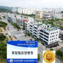 남악 정다운 요양병원 티스토리