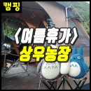 삼돌이농장 | [영월 캠핑장] 여름휴가 물놀이 가능한 캠핑장 :: 상우농장