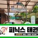 피닉스태권도장 이미지