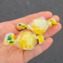 흐름 | 이탈리아를 옮긴 듯한 제주시청 파스타 맛집 도남동 '흐름' 방문 후기