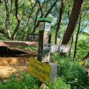 팔룡산(328m),봉암수원지둘레길 & 팔룡산정상둘레길 / 창원시 의창구 이미지