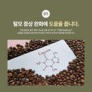 라이프메딕 | [공지] [심신활가×모메딕샴푸] 탈모증상완화 기능성 화장품 출시 기념 공동구매 공지