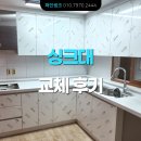 광진 pet 이미지