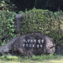 까사드리 이미지