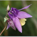 광주도자기엑스포장 이미지