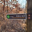 숲뒤1 이미지