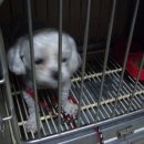 서3치안센터 이미지