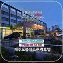 노블레스골프존 | 뚜벅이/버스&amp;시티투어 여행자를 위한 숙소 추천![제주 노블레스 관광호텔] 후기!