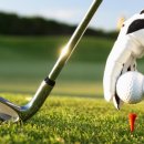 한창스크린&골프연습장 이미지