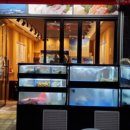 광어랑우럭이랑 이미지