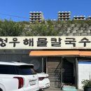 충북 로컬맛집 : 청우해물칼국수 대구왕뽈때기 진천맛집 청주맛집