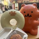 종로-신영-종로-영-278 | 25년 3월 일상 2탄; 주간 밥상과 외식