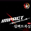 임팩트 복싱 매니지먼트 이미지