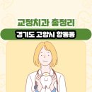 경기도 고양시 향동동 교정치과 총정리