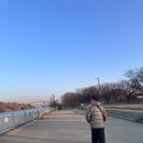 개나리낚시공원 | 서울 주말 나들이 , 선유도공원 가려다 아이랑 한강라면 먹고오기 - 양화한강공원 아리수만찬