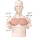 스트롱네이션(맨몸근력운동) | 운정pt - 맨몸 운동하면 뭐다? 푸쉬업