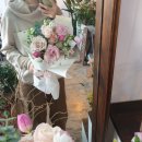 디망쉬플레르 이미지