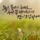 붐비 Daum카페