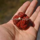 한창농장 이미지