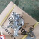 국제라지에타 이미지