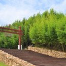 담양여행 이미지