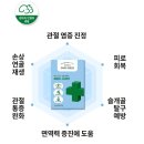 도담메디 | [강아지 관절 영양제] 성분은 물론 영양까지, 파파메디 메디조인트