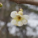 금골농장 이미지