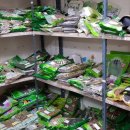 고고한의원 이미지