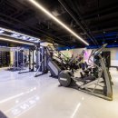 트랜스핏짐 이미지